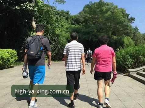 陪你一路高光苹果版下载实用指南：从安装到数据查询的实操解答