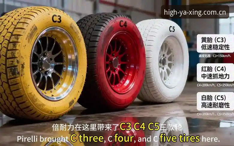 2026陪你一路高光苹果版下载 F1摩纳哥站集体超速罚单真相:0.1公里/小时的灰色地带实用指南
